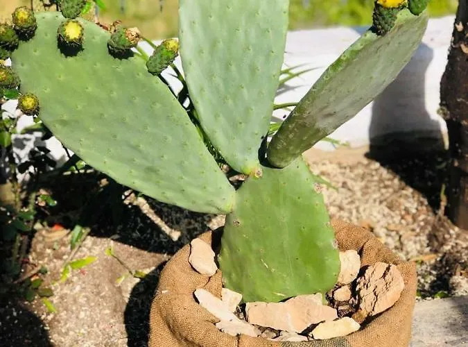 Σπίτι διακοπών Dimora Pierdomiceli *